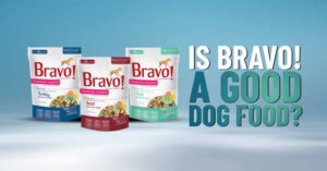 bravo-dog-food-review